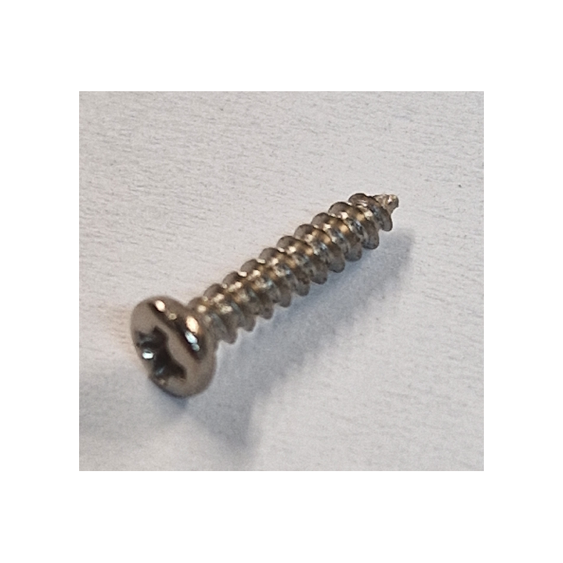 Selv sk�rende skrue 2,5x10mm
