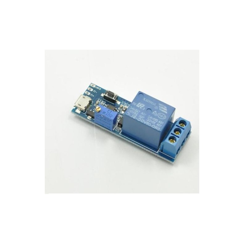 Delay Timer rel-modul med trigger indgang