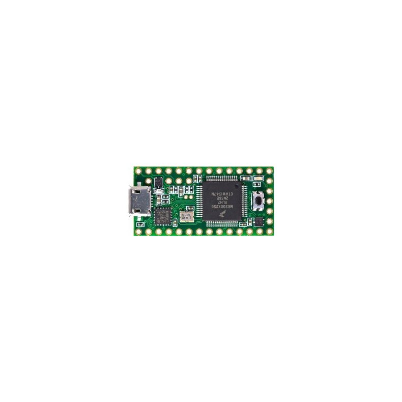 Teensy 3.1 processor